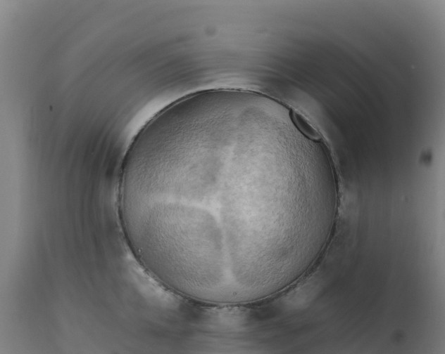 X0000112410952200908281811