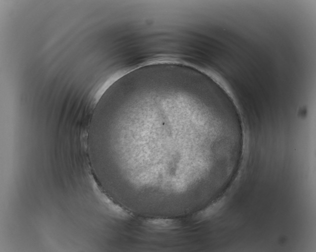 X0000112410953200908281811