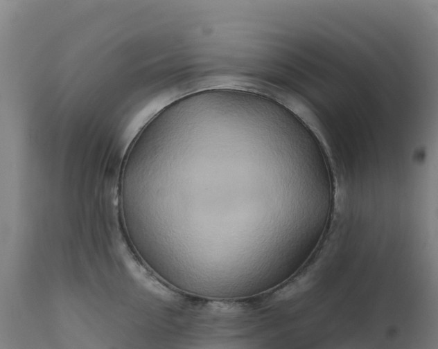 X0000112410954200908281811