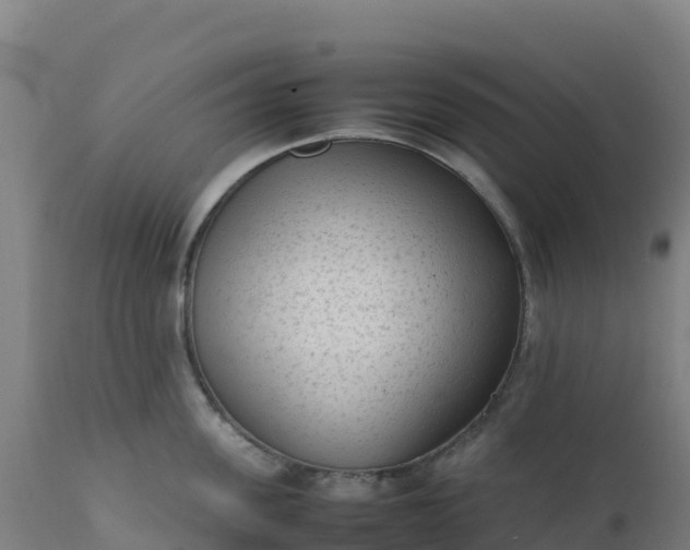 X0000112410955200908281811