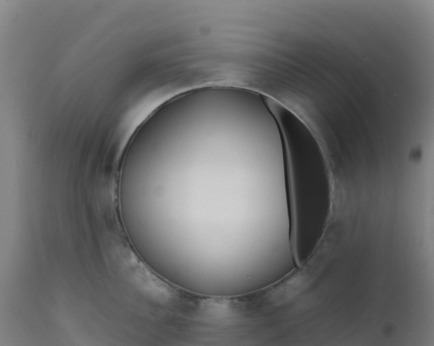 X0000112410956200908281811