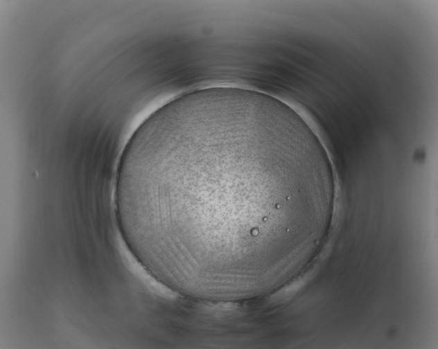 X0000112410957200908281811