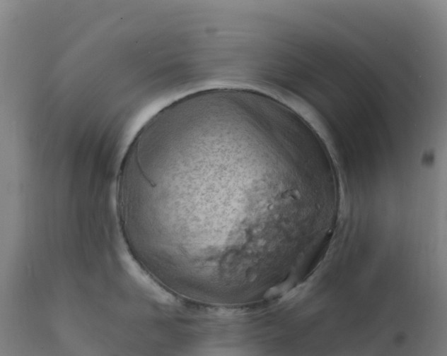 X0000112410958200908281811