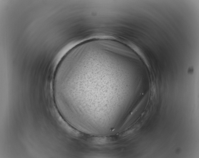 X0000112410959200908281811