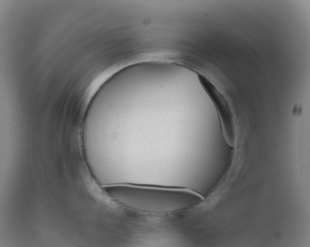 X0000112410960200908281811