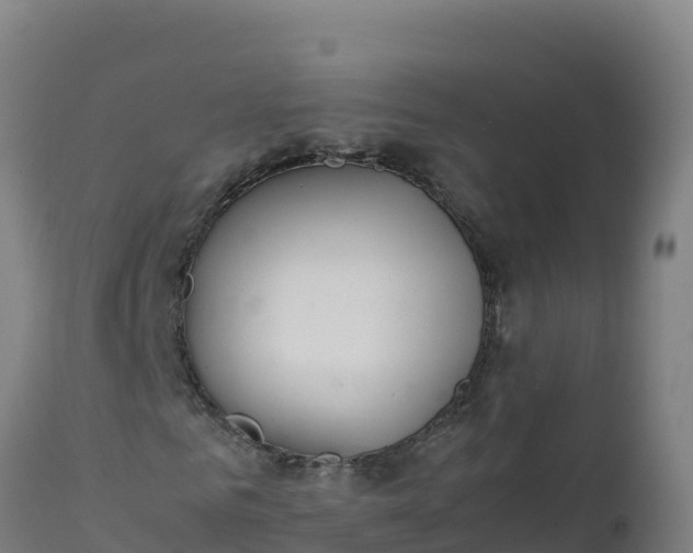 X0000112410961200908281810