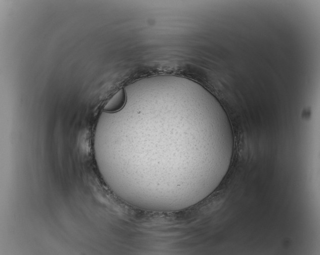 X0000112410962200908281810