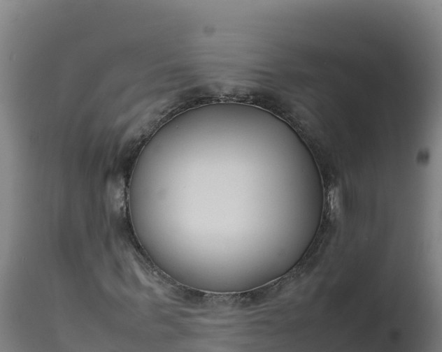 X0000112410963200908281810