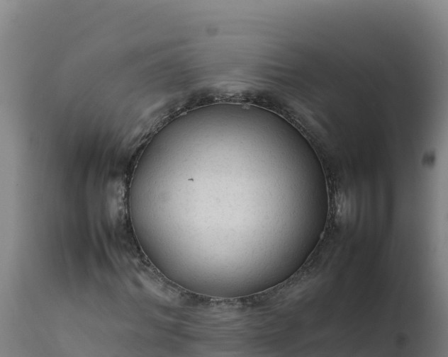 X0000112410964200908281810