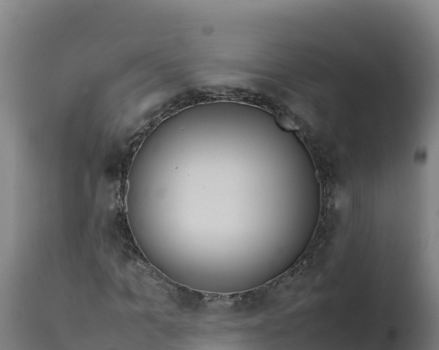 X0000112410965200908281810