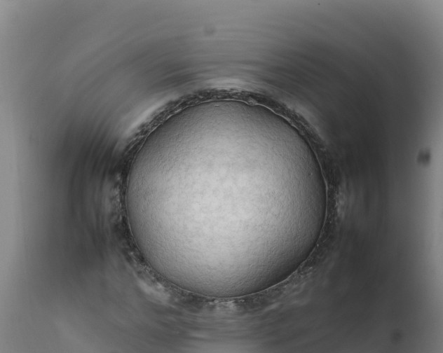 X0000112410968200908281810