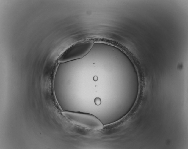 X0000112410969200908281810