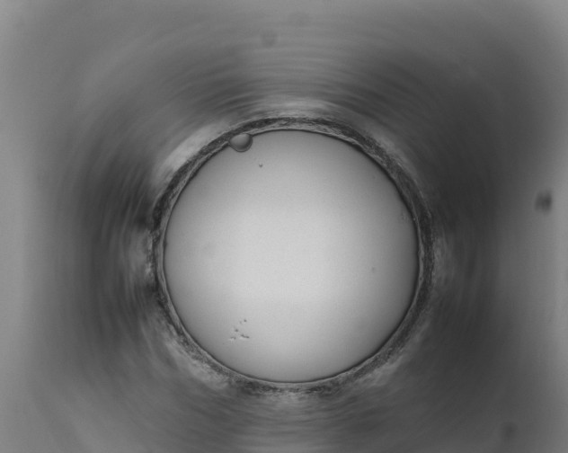 X0000112410970200908281810