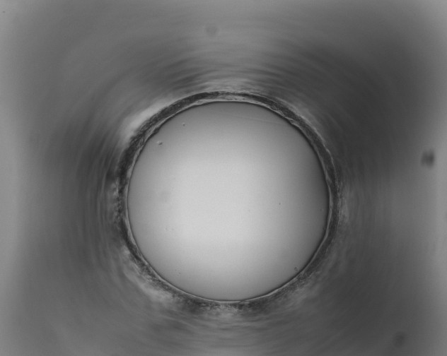 X0000112410971200908281810