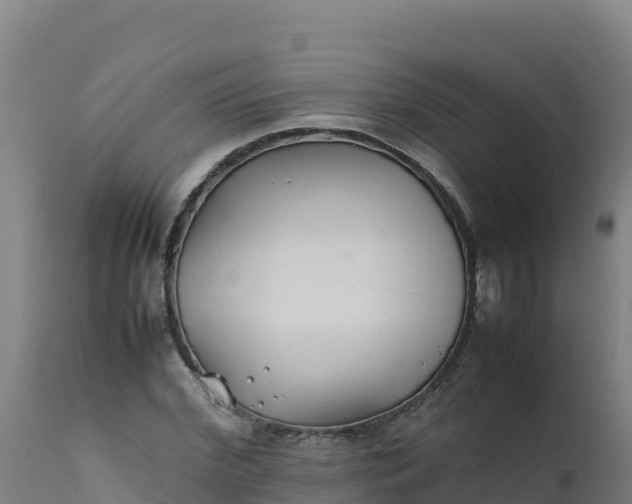 X0000112410972200908281810