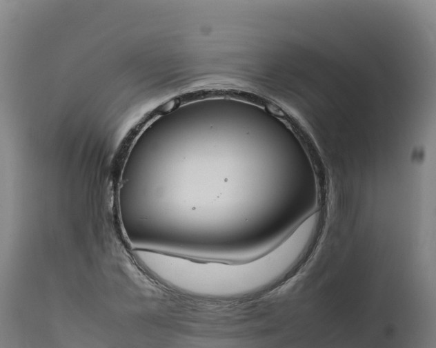 X0000112410973200908281810