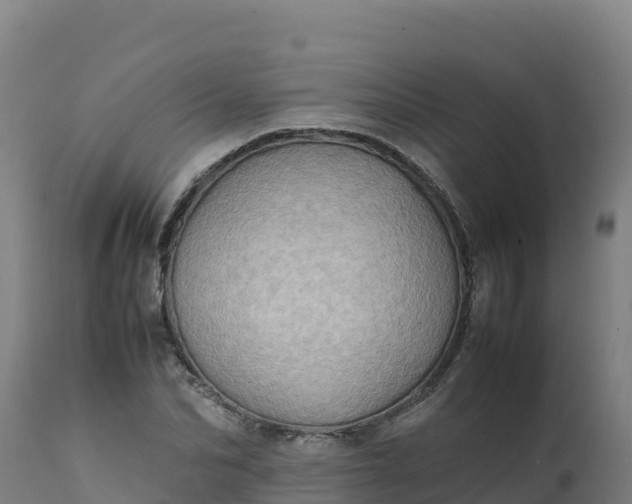 X0000112410974200908281810