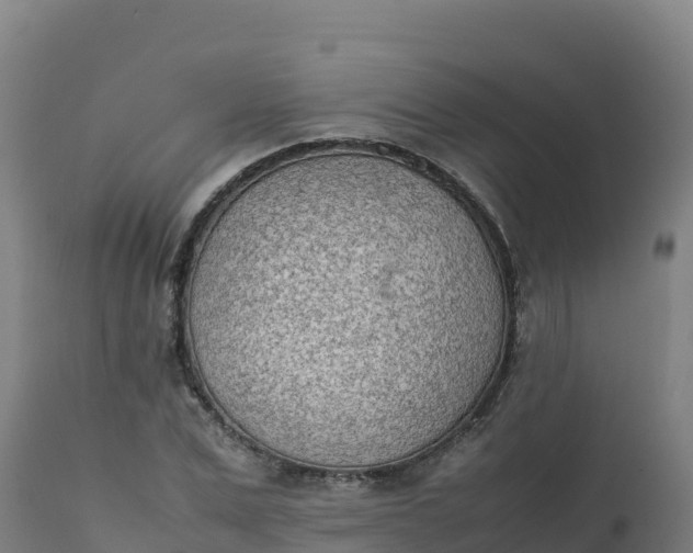 X0000112410975200908281810