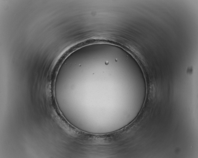 X0000112410976200908281810