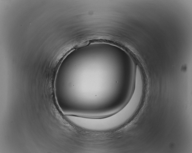 X0000112410977200908281810