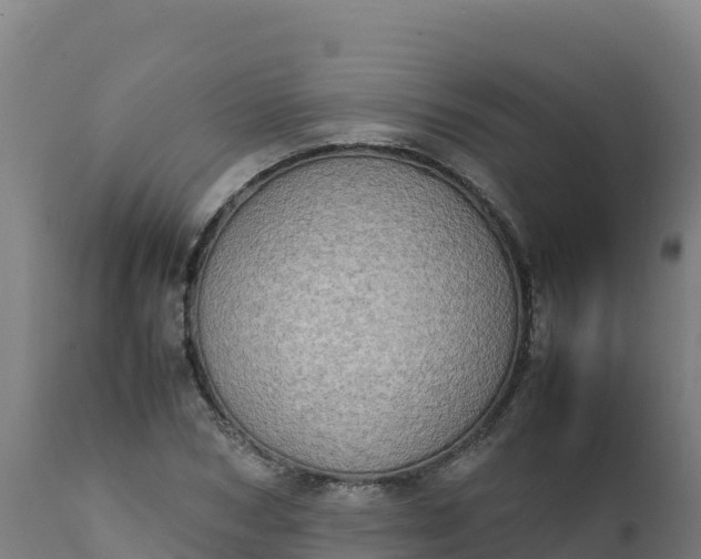 X0000112410978200908281810