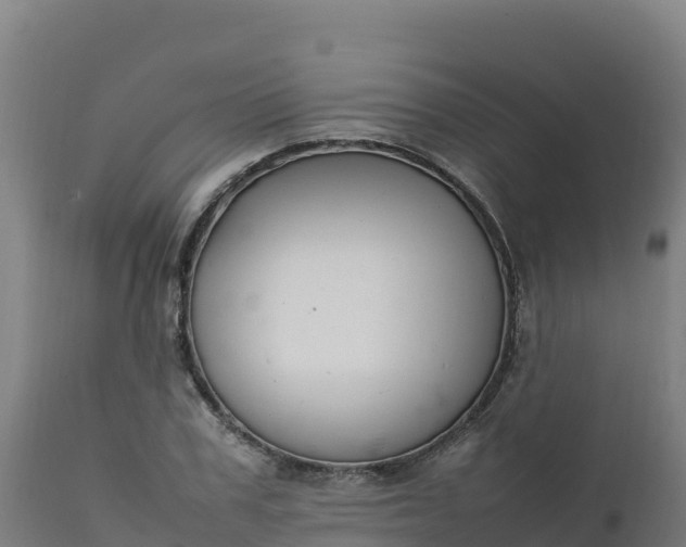 X0000112410979200908281810