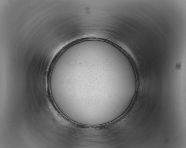 X0000112410980200908281810