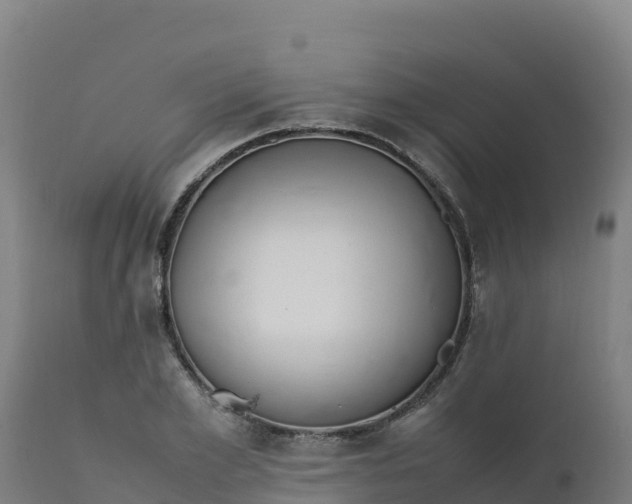 X0000112410981200908281810