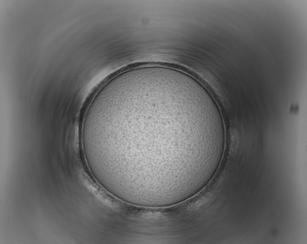 X0000112410982200908281810