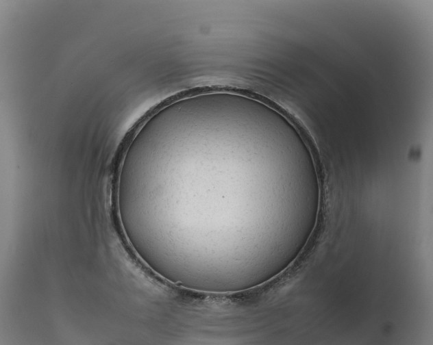 X0000112410983200908281810