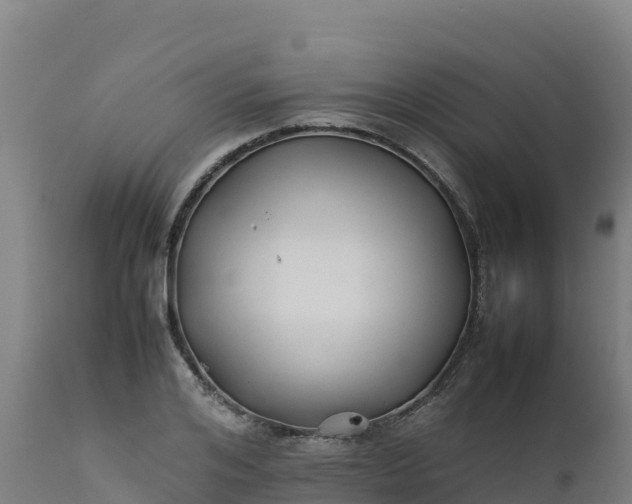 X0000112410984200908281810