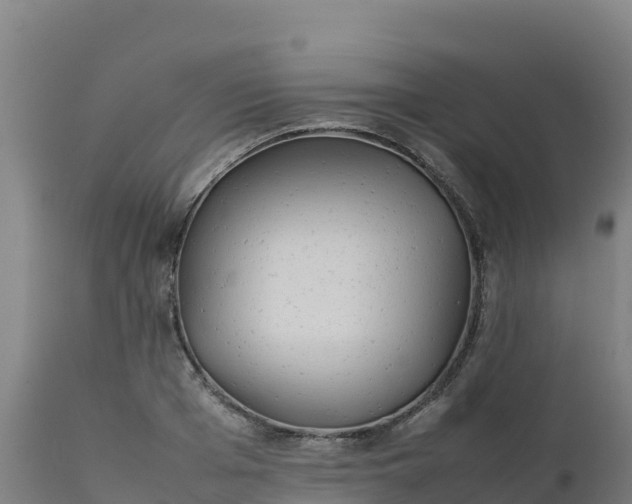 X0000112410985200908281810