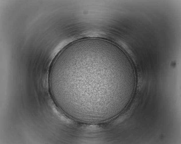 X0000112410986200908281810