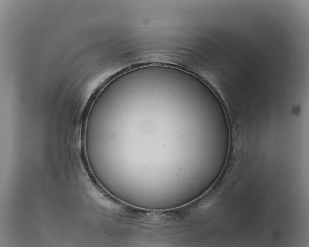 X0000112410987200908281810