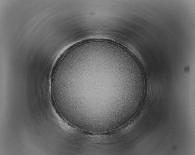 X0000112410988200908281810