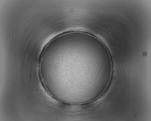 X0000112410989200908281810