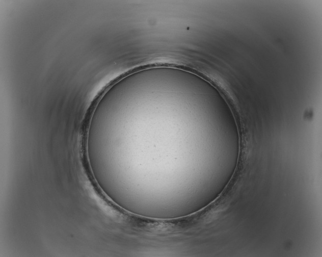 X0000112410991200908281810