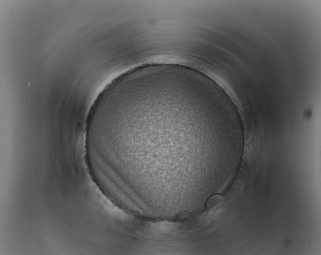 X0000112410992200908281810