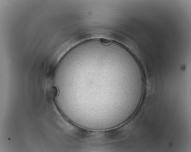 X0000112410993200908281810