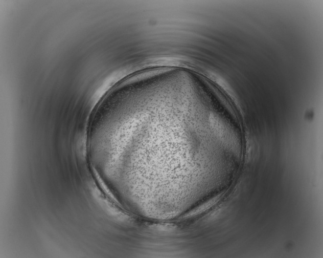 X0000112410994200908281810