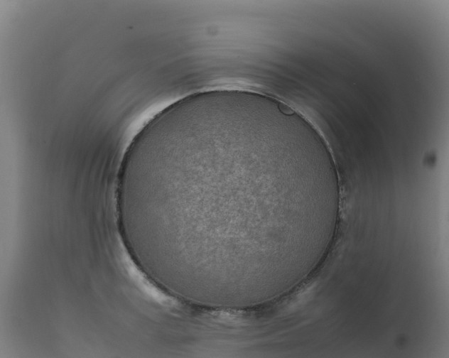 X0000112410995200908281810