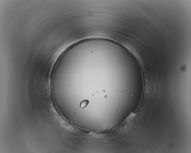 X0000112410996200908281810