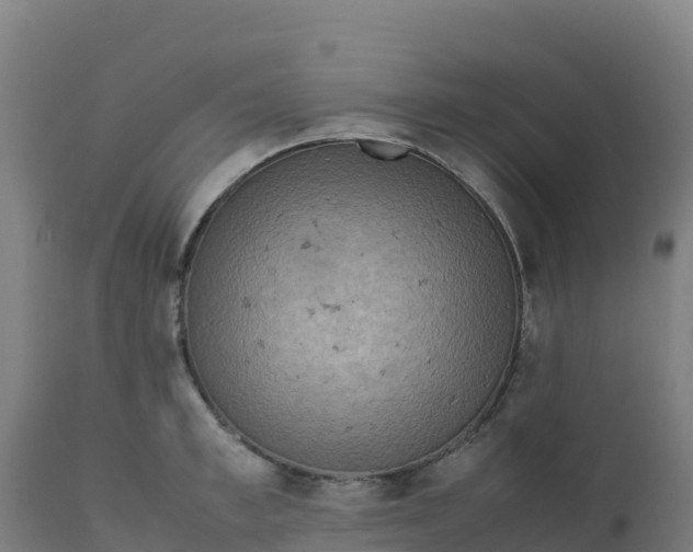 X0000112410997200908281810