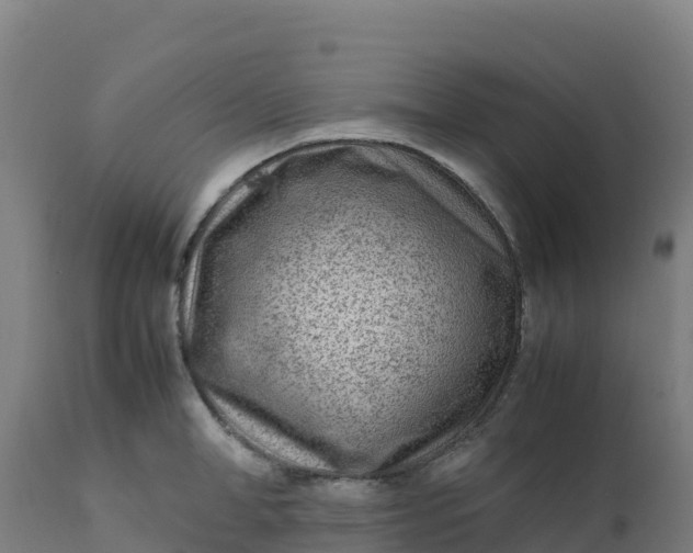 X0000112410998200908281810