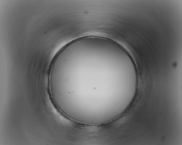 X0000112410999200908281810