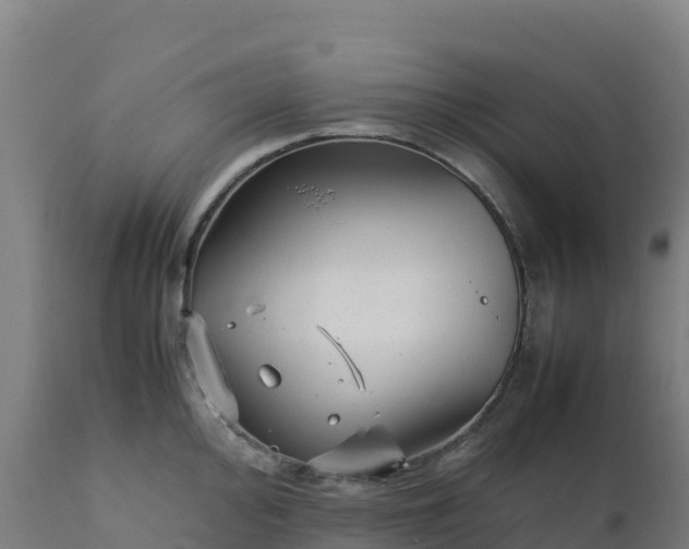 X0000112411000200908281810