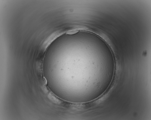 X0000112411001200908281810