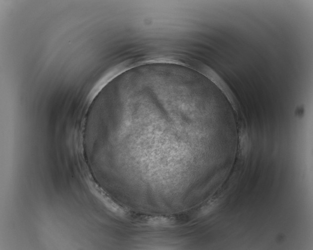 X0000112411002200908281810