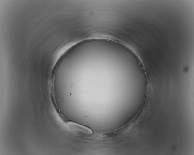 X0000112411003200908281810