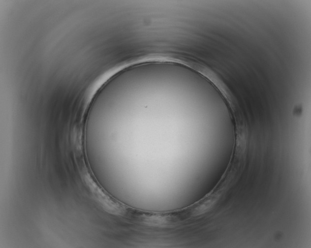 X0000112411004200908281810